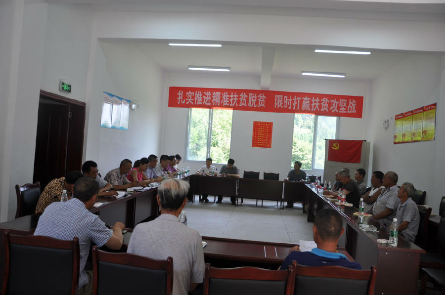 虎垭村委会乡村振兴新篇章揭晓，最新动态与成就报道