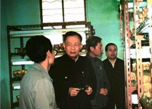 官会镇未来繁荣新蓝图，最新发展规划揭秘