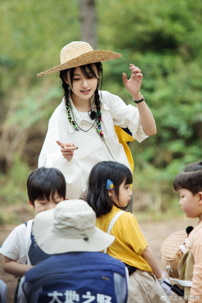 郑爽与奇妙小森林的最新奇幻之旅揭秘！