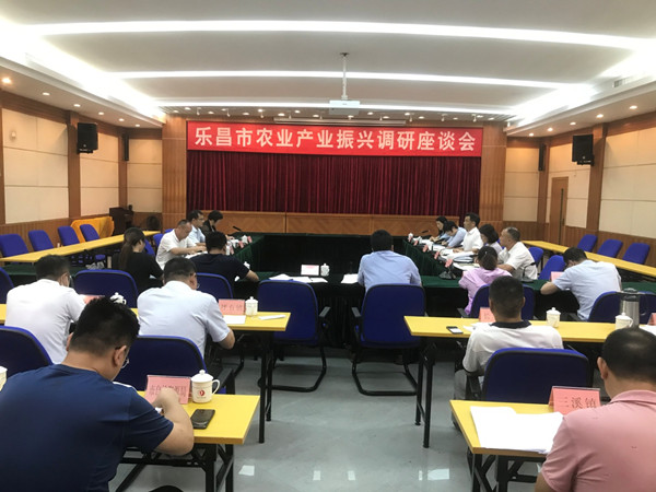 乐昌市农业农村局推动农业现代化项目，助力乡村振兴新篇章